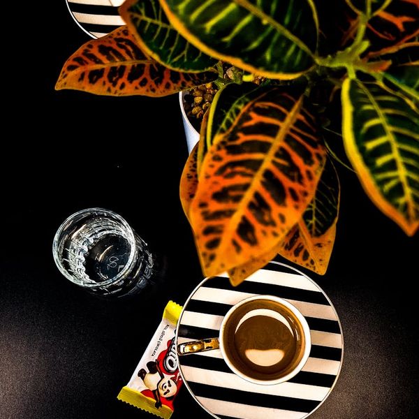 Glass of water and a plant on a desk