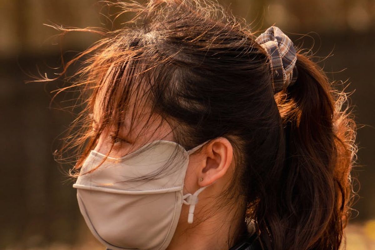 Green forest landscape with shallow depth of field